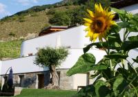 Hausansicht und Sonnenblume