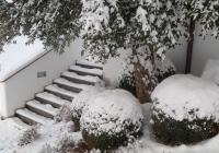 Treppenaufgang im Winter