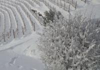 Winterlandschaft
